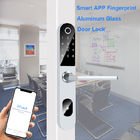 Password di sicurezza Chiave elettronica Serrature per porte Smart Home Usato