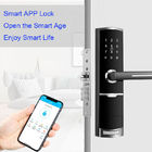 Password in lega di zinco Bluetooth TTlock Smart Keypad Door Lock con chiave di carta