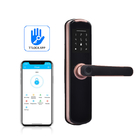 Serratura di porta di WiFi dell'impronta digitale di FPC Thumbprint 0.1S biometrico Keyless