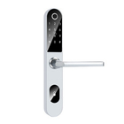 Serratura di porta intelligente dell'impronta digitale dell'ingresso di WIFI per la porta di alluminio