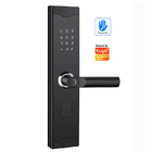 Direzione in opposizione di emergenza della serratura di porta dello Smart Home della porta USB di TUYA per Front Door