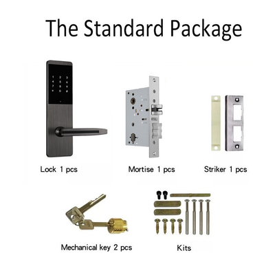 Sicurezza Bluetooth Smart Keypad Door Lock TTlock App Door Lock per appartamento Home Office