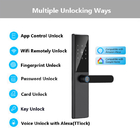 Leggio di alluminio Smart Home TTlock Keyless Digital Door Lock Biometric Fingerprint Door Lock