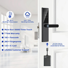 Leggio di alluminio Smart Home TTlock Keyless Digital Door Lock Biometric Fingerprint Door Lock
