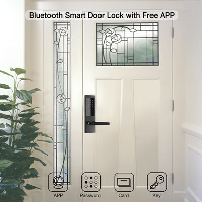 TTlock App Controllato Chiusura digitale senza chiave Appartamento Chiusura smart
