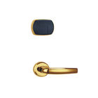 Serratura di porta elettronica alcalina chiave Keyless delle serrature di porta della carta di RFID 125kHz 4×AA