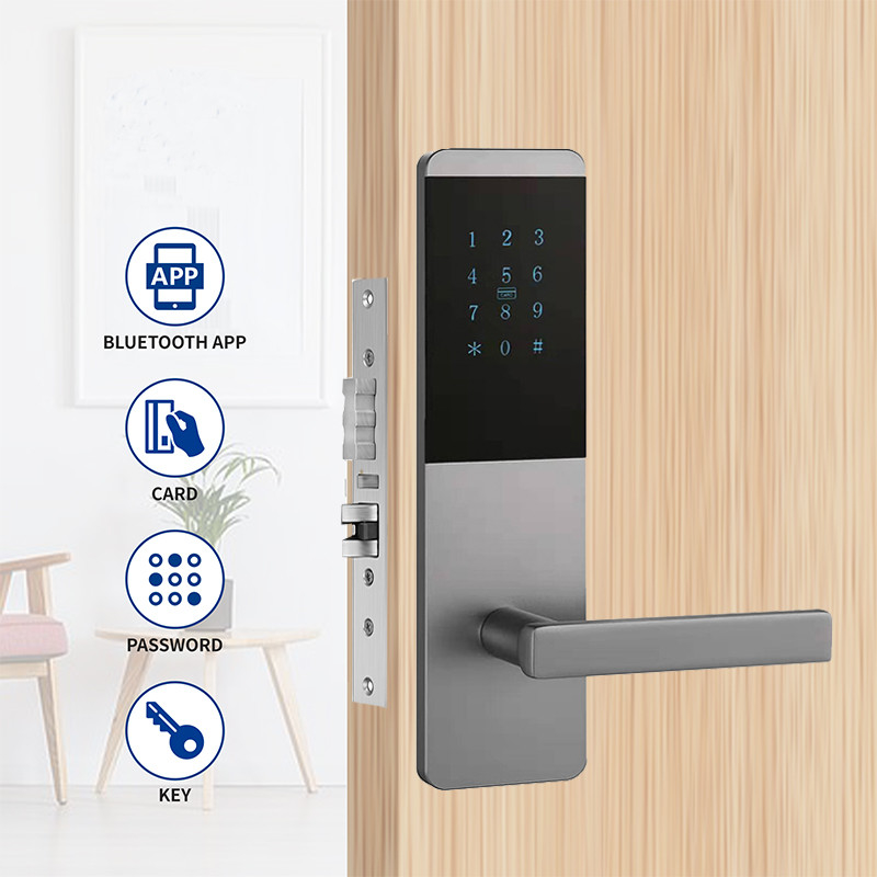 4 in 1 appartamento in lega di alluminio smart TTlock Chiusura porta con tastiera touch